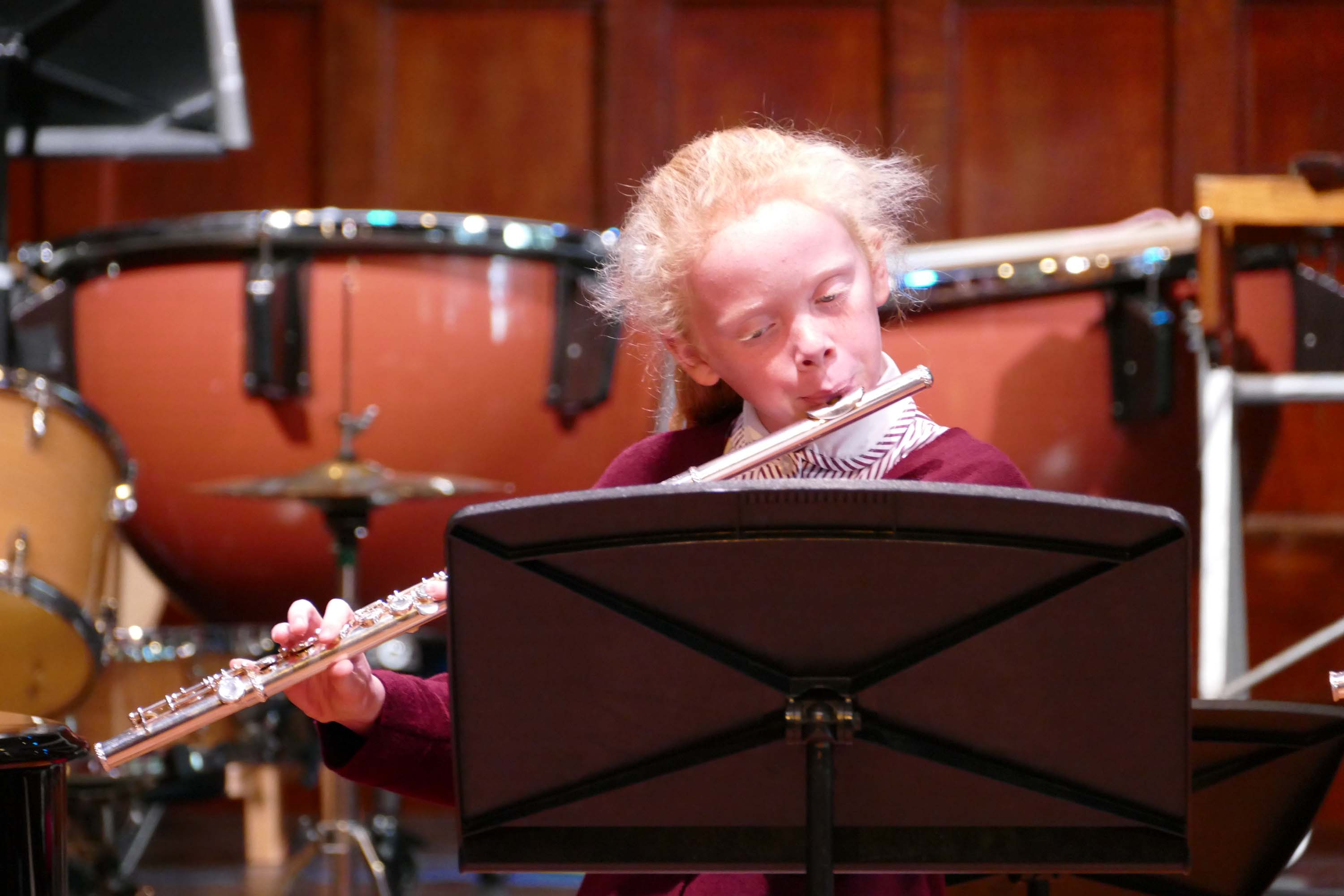 Celebrating Woodwind and Brass Concert - November 2021